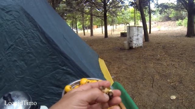 Компот из МУШМУЛЫ. Быстро! смотреть онлайн