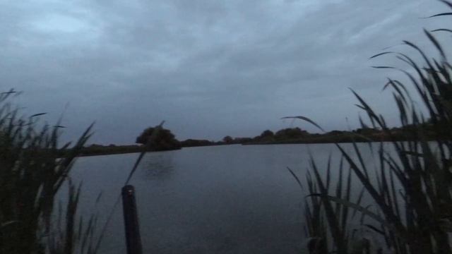 Охота на уток смотреть онлайн