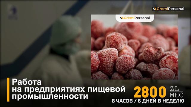 Работа в Польше летом 2021 года смотреть онлайн