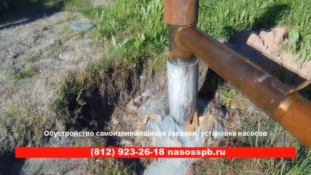 САМОИЗЛИВ СКВАЖИНЫ 50 м3 в час видео