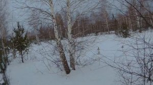 💥С подхода на косулю в одного❗