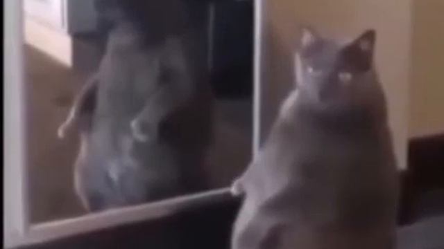 Почему я похож на огромный окорочёк?