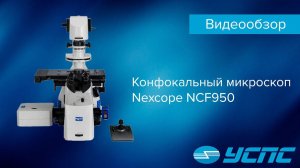Обзор конфокального микроскопа Nexcope NCF950