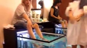 FISH SPA PARIS  NEUILLY-SUR-SEINE