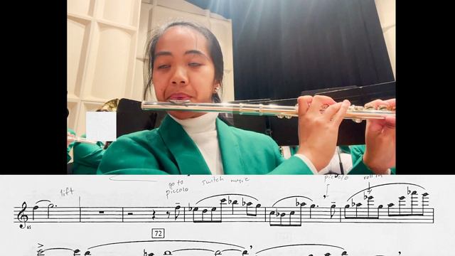 "Mount Everest" by Rossano Galante ⛰️💫 flute & piccolo pov смотреть онлайн