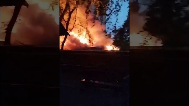 В контактном зоопарке «Крошка Енот» в городском парке Саратова произошел пожар