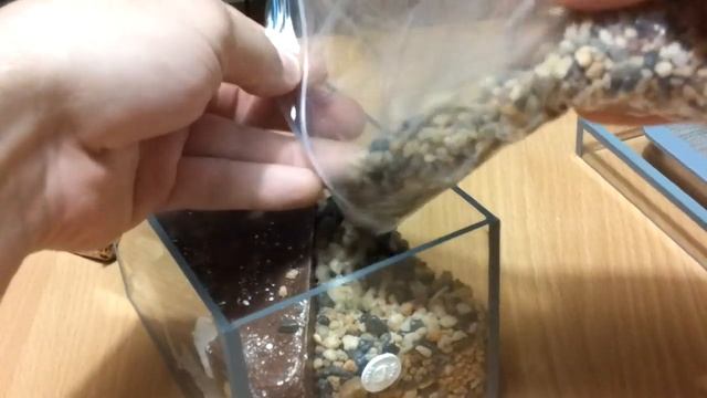 Муравьиная ферма смотреть онлайн