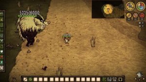 КАК УБИТЬ МЕДВЕДЯ-БАРСУКА?[solo]don't starve together