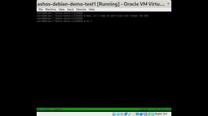 AshOS Debian Install Demo (walk-through)