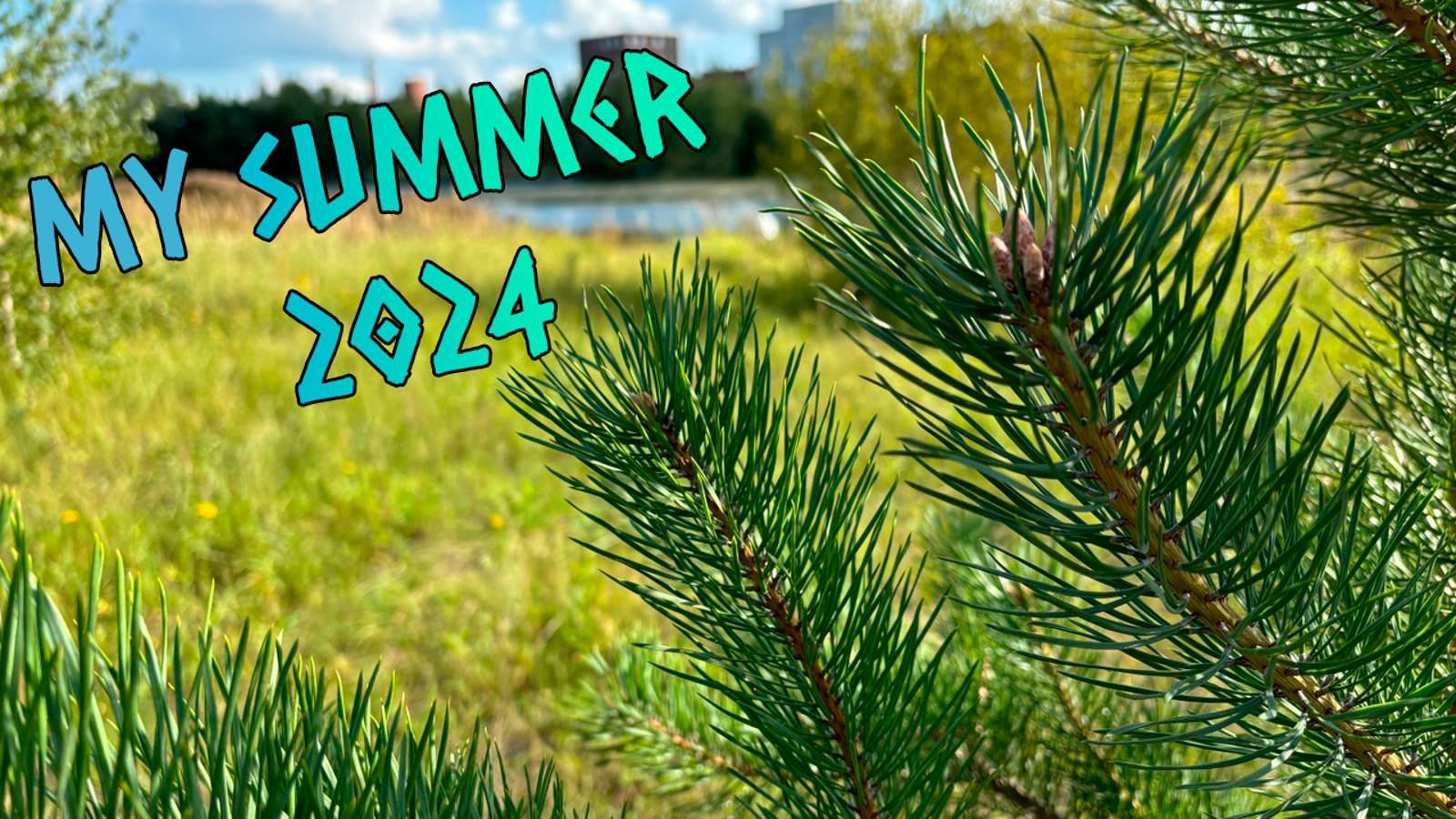 Summer 2024