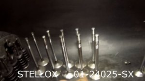 Обзор "клапанов" от Александра Сивакова