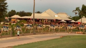 Things to do in BROOME, Western Australia. Camel Rides on Cable Beach!