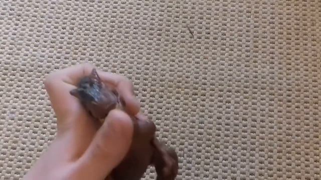 Монстры, которые существовали на самом деле: Тираннозавр и Трицератопс 🔴 Вымершие Динозавры смотреть онлайн