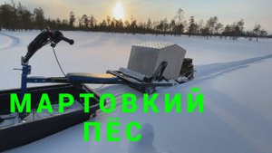 Почему мотособака 2828*500 едет по глубокому снегу 80см