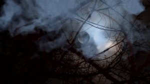 Видеофон футаж в темном лесу на темном лунном небе