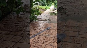 Печатный бетон