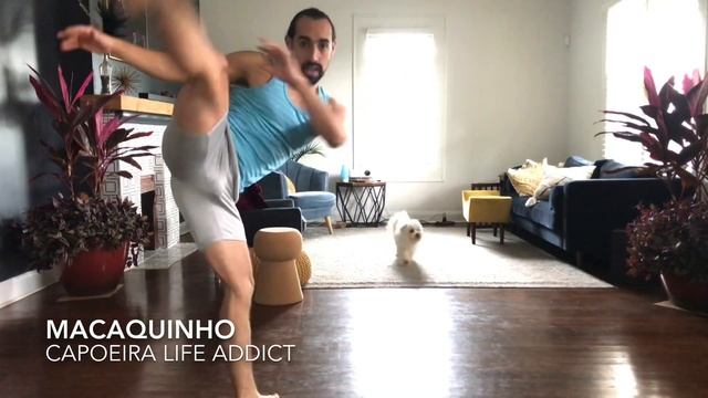 Capoeira mini class - 30-45 mins смотреть онлайн