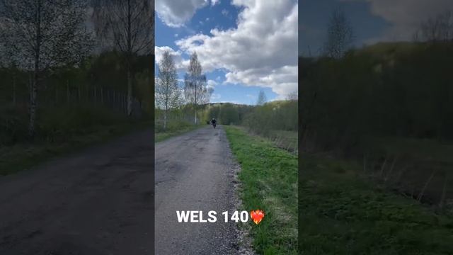 WELS 140❤️???️? 2 Передача