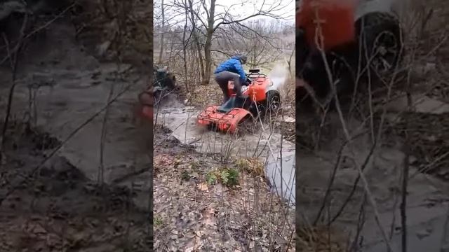 Arctic cat 1000 vs Amazonka смотреть онлайн