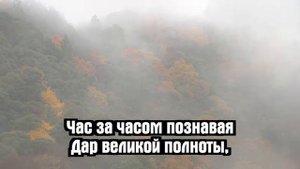 Псалмы Сиона - Сколько горьких раскаяний