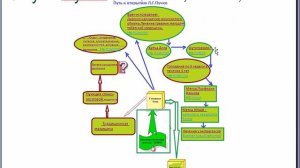 Многомерная медицина Вводное занятие 1