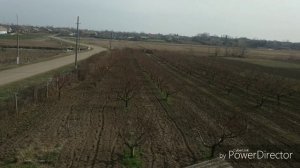 Как мы обрабатываем деревья,перед цветением.