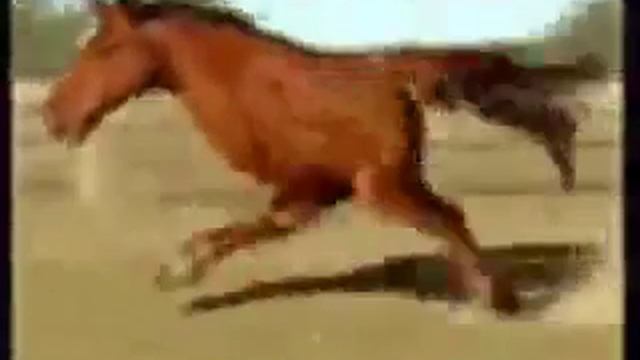 Тест на психику! Кто засмеется тот псих!!! смотреть онлайн