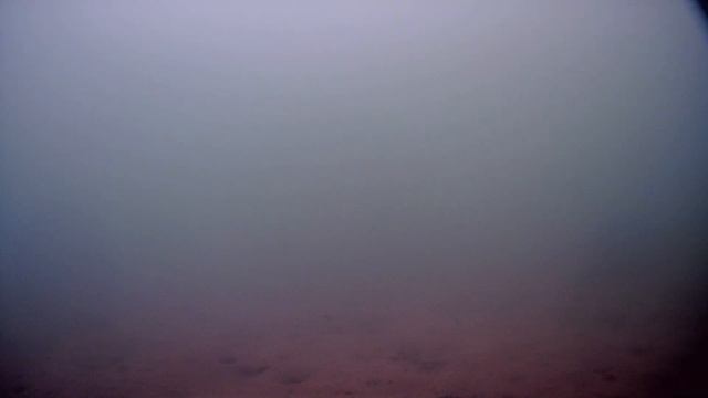 Осетр преследует щуку! смотреть онлайн