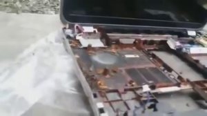 Тараканы в ноутбуке