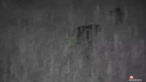 Медведь в ночном прицеле ATN X-Sight 3-14x | МЕТКИЙСТРЕЛОК.РФ