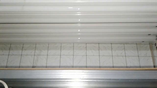 Подсветка для кактусов и суккулентов на моих полках