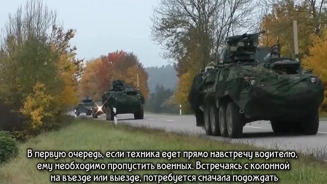 Германия 2023. Шольц за переговоры без России,  Берлинский Доктор Айболит, Зарплата депутатов