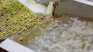 Перекисное число оливкового и льняного масел