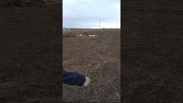 Начало строительства, Биклянь смотреть онлайн