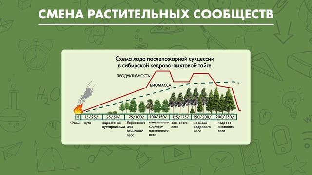 Растительные сообщества. Видовой состав растительных сообществ смотреть онлайн