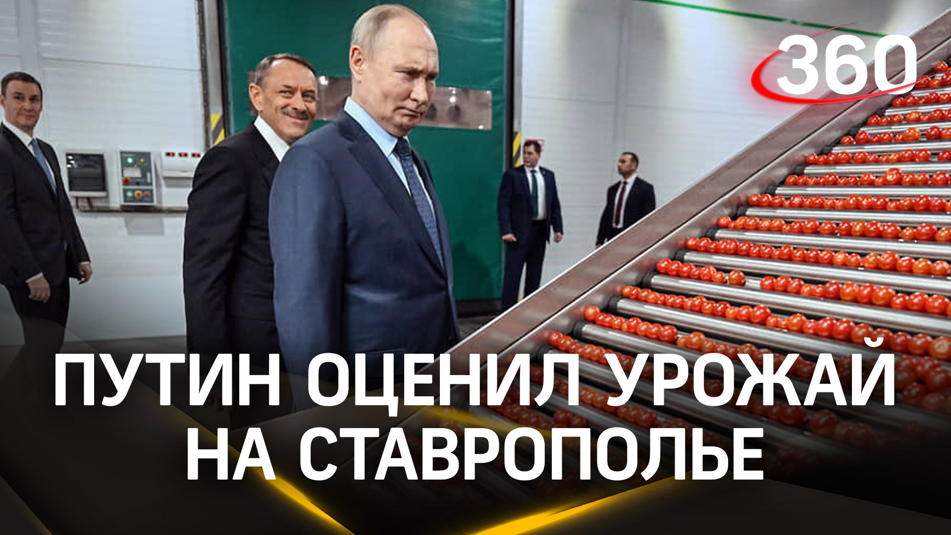 Путин: экспорт зерна из РФ в 2024 году может вырасти до 65 млн тонн. Урожай на Ставрополье