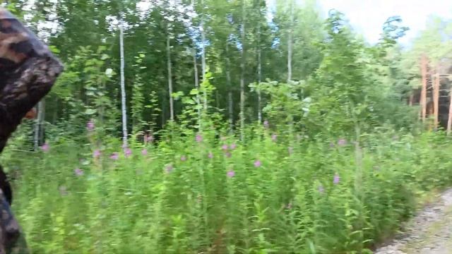 21.07.2023 Как утомительны в России холода / Марина и мы смотреть онлайн