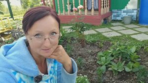 Видео привет с 6 соток 19 июня 2023 года 1 часть