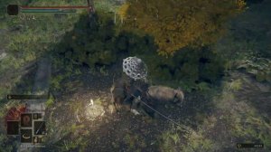 Топ катана в начале игры,гайд.Elden Ring.