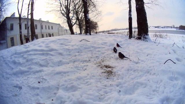 Мини-камера MIXI А18. Миниатюрная видеокамера - регистратор, пример видео. Снегири