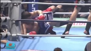 Бадр Хари   Легенда кикбоксинга и К 1