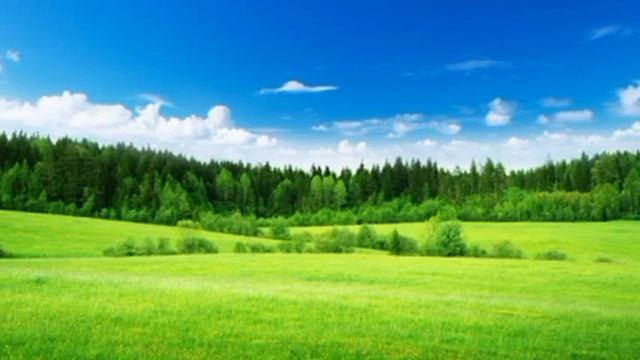 Истории из жизни. Жена изменила мужу с его начальником после случайного корпоратива. смотреть онлайн