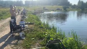 Стрим.Ловим осетра на платном водоёме.