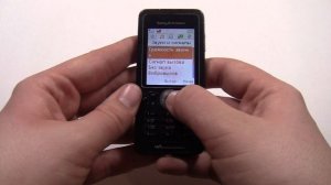 Sony Ericsson W302 incoming call
