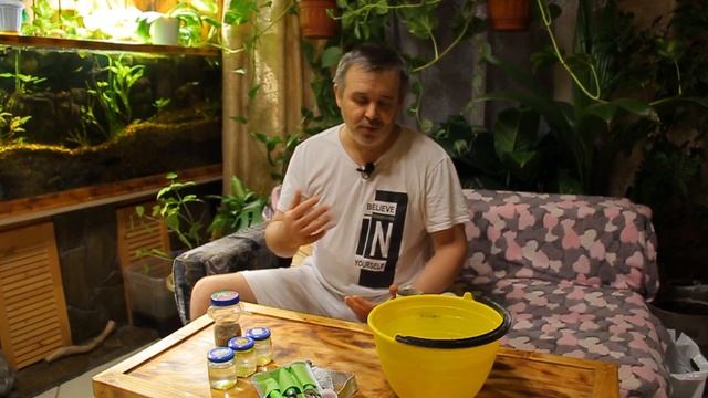 #УмираетРыбкаАкулийБалу... #КакСпастиРыбу ??? ? #ЛечениеРыбы... смотреть онлайн