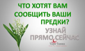 ЧТО ХОТЯТ СООБЩИТЬ ВАШИ ПРЕДКИ ПРЯМО СЕЙЧАС. МОЖЕШЬ ЗАДАТЬ ВОПРОС И ПОЛУЧИТЬ ОТВЕТ. СМОТРИ ДО КОНЦА