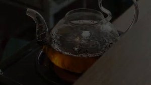 Варим Шу Пуэр на энергетике