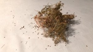 Семена УКРОПА! Всего Одна Ложка СЕМЯН УКРОПА вызывает НЕОБРАТИМЫЙ процесс в организме