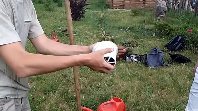 Как правильно посадить кедр смотреть онлайн