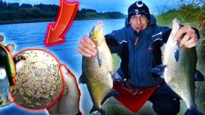 ПОЧЕМУ я раньше не добавил это.. Ловля леща осенью на фидер. Западная Двина.